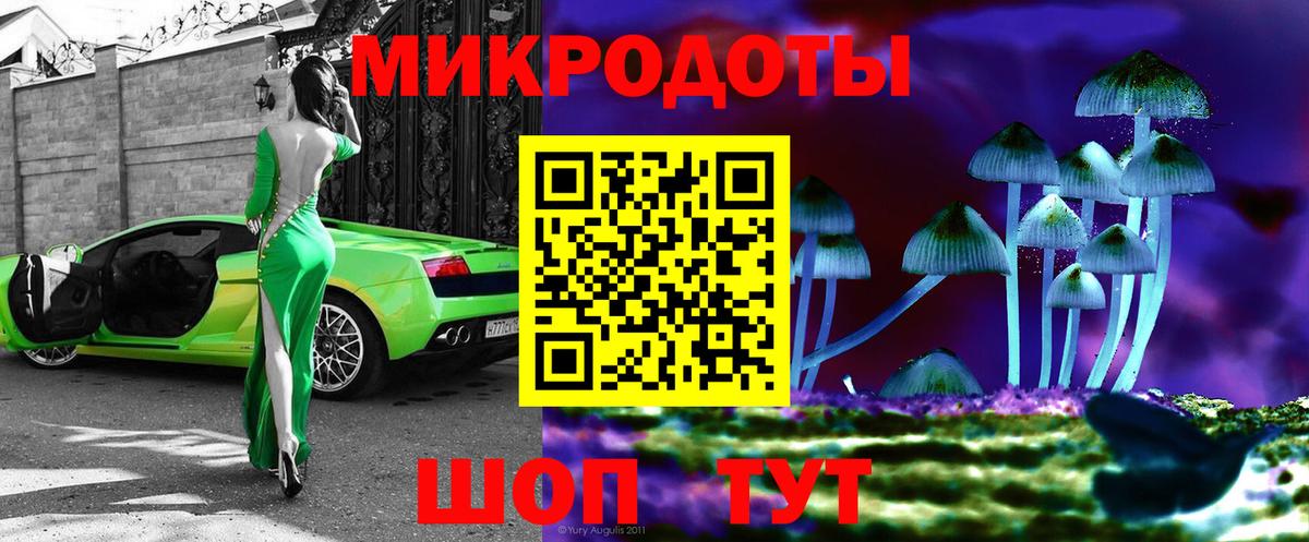 Славгород  Псилоцибиновые грибы прущие грибы  Вход с VPN 