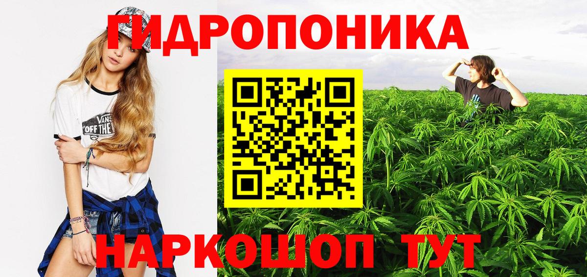 Бошки Шишки White Widow Славгород